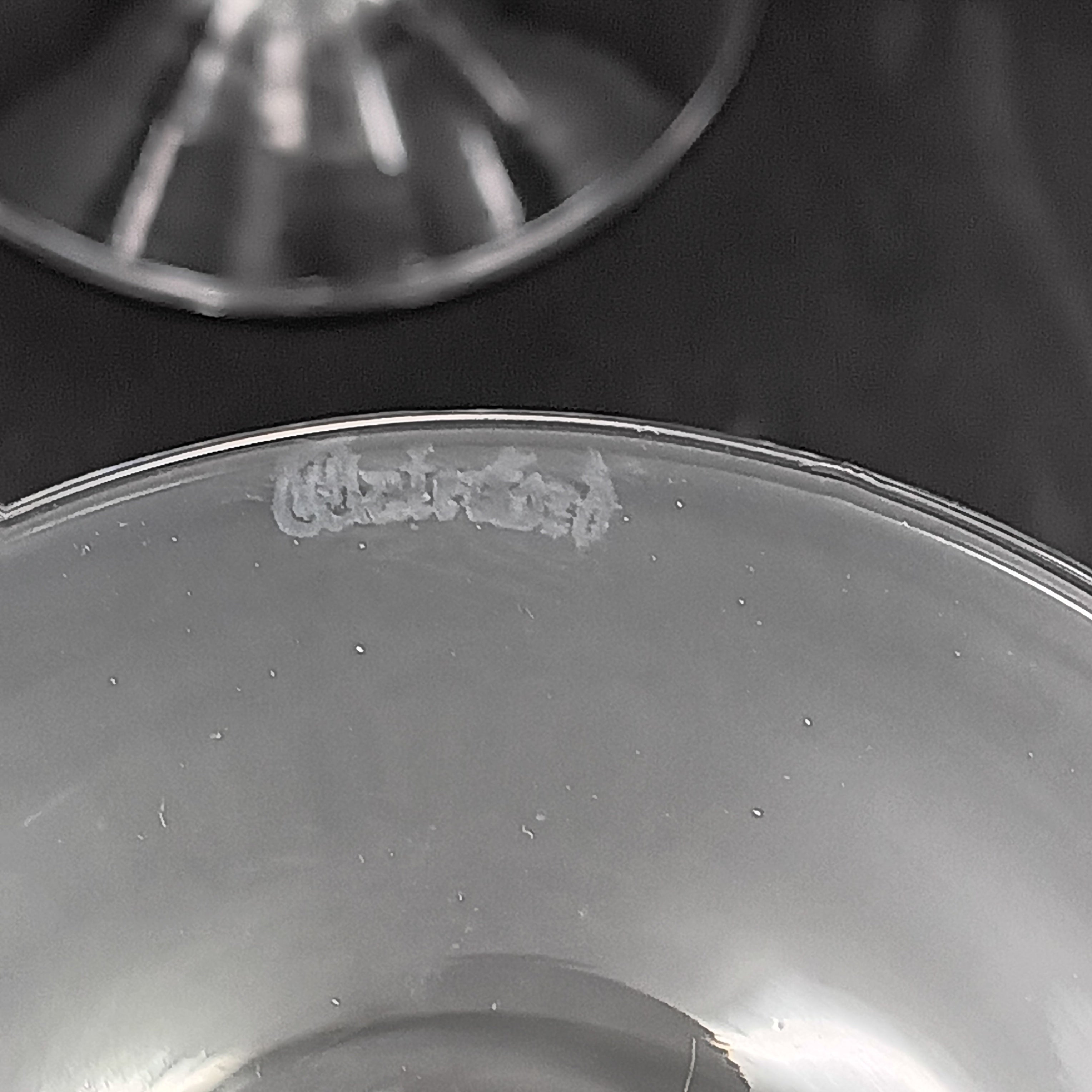 Waterford Crystal - Sheila (cut) Champagne Glass
